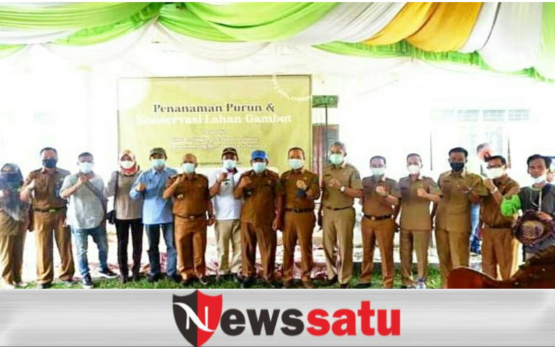 Optimalisasi Lahan Gambut di Purun Desa Pulau Geronggang