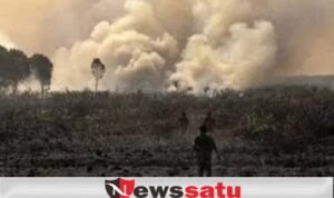 Jumlah Titik Panas di Sumsel Meningkat, ini Kata Kapolda