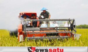 Kawasan Food Estate, OKI Fokus Cetak Petani Berdasi