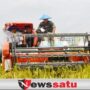 Kawasan Food Estate, OKI Fokus Cetak Petani Berdasi