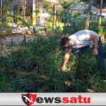 Kuatkan Tanaman Toga Era Pandemi, Pemkab Bagikan Empon-empon ke Warga