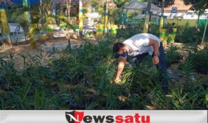 Kuatkan Tanaman Toga Era Pandemi, Pemkab Bagikan Empon-empon ke Warga