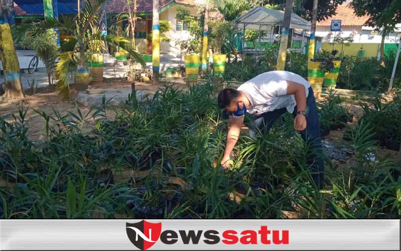 Kuatkan Tanaman Toga Era Pandemi, Pemkab Bagikan Empon-empon ke Warga