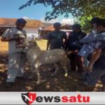 Penutupan Pasar Hewan Di Sumenep Dinilai Awal Kehancuran Ekonomi