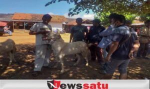Penutupan Pasar Hewan Di Sumenep Dinilai Awal Kehancuran Ekonomi