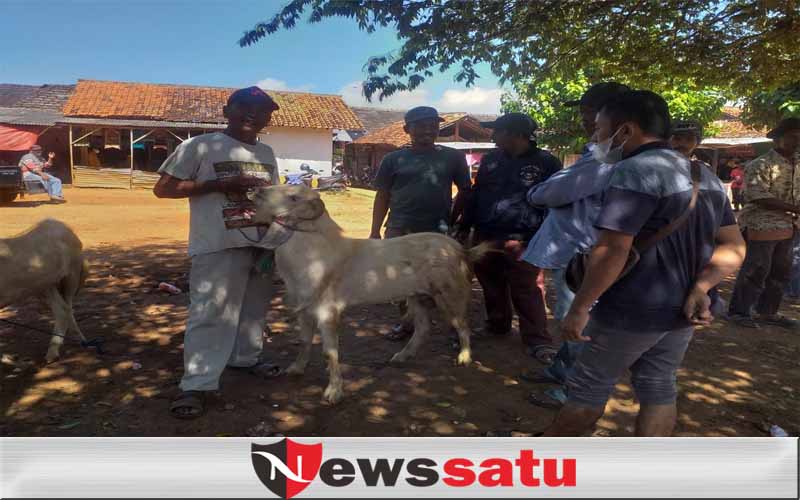 Penutupan Pasar Hewan Di Sumenep Dinilai Awal Kehancuran Ekonomi