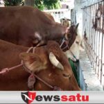 Polres Probolinggo Kota, Amankan 2 Pelaku Curwan dan 1 Penadah
