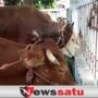 Polres Probolinggo Kota, Amankan 2 Pelaku Curwan dan 1 Penadah