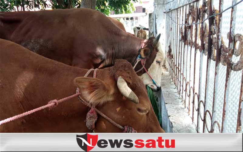 Polres Probolinggo Kota, Amankan 2 Pelaku Curwan dan 1 Penadah