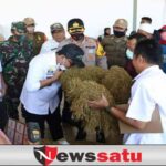 Ini Daftar Berbagai Pabrikan dan Besaran Pembelian Tembakau Madura 2021