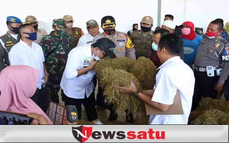 Ini Daftar Berbagai Pabrikan dan Besaran Pembelian Tembakau Madura 2021
