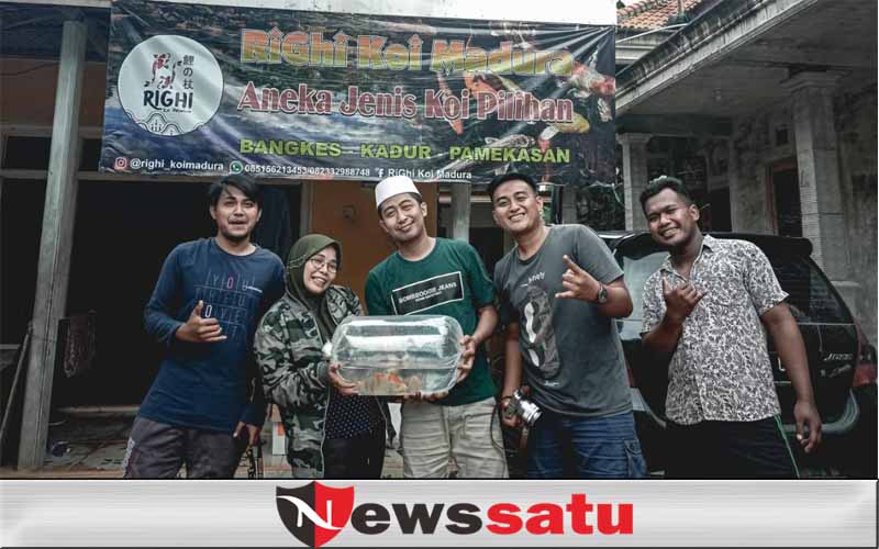 Raup Cuan Bisnis Ikan Koi, Pemuda Pamekasan Jadi Jutawan