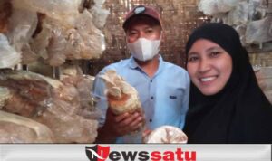 Seorang Ibu Rumah Tangga Ternak Jamur Di Wilayah Kota Probolinggo