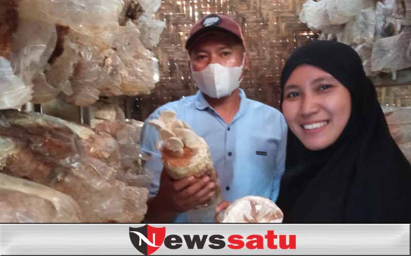 Seorang Ibu Rumah Tangga Ternak Jamur Di Wilayah Kota Probolinggo
