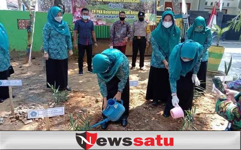 TP PKK Kabupaten Pamekasan Bantu 1000 Bibit Jahe Merah ke Kelurahan Gladak Anyar