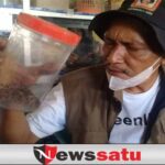 Warga Probolinggo Tangkap Anak Ular Sanca Diserahkan Ke BKSDA