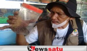 Warga Probolinggo Tangkap Anak Ular Sanca Diserahkan Ke BKSDA