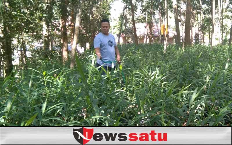 Gagal Jadi PMI Karena Pandemi, Fathan Bertani Jamer Beromset Jutaan Rupiah