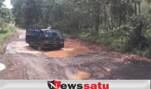 Jalan Poros Kecamatan Tulung Selapan Rusak Parah