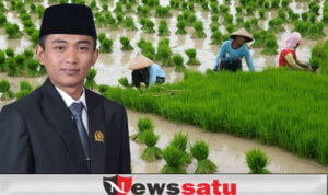 Harga Tidak Stabil, Komisi II DPRD Sumenep Desak Pemkab Lakukan Penyerapan Gabah