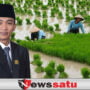 Harga Tidak Stabil, Komisi II DPRD Sumenep Desak Pemkab Lakukan Penyerapan Gabah