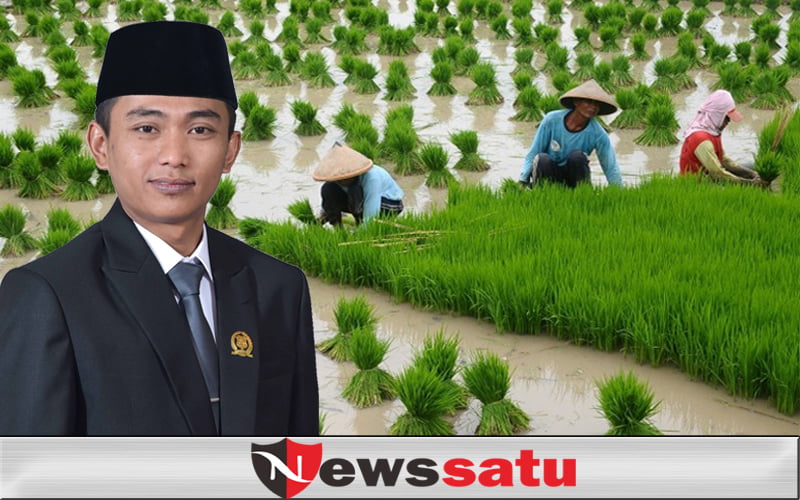 Harga Tidak Stabil, Komisi II DPRD Sumenep Desak Pemkab Lakukan Penyerapan Gabah
