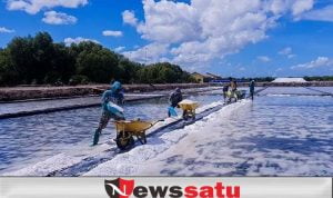 PB HMI Tunggu Komitmen Dirut PT Garam Majukan Sektor Industri Garam