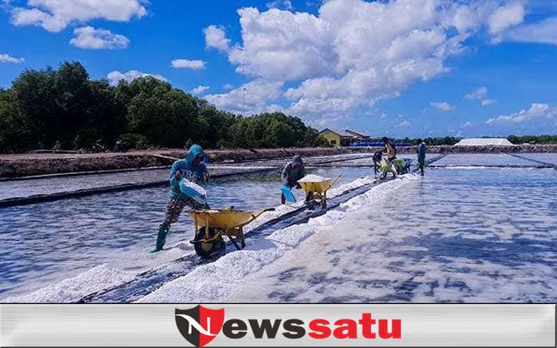 PB HMI Tunggu Komitmen Dirut PT Garam Majukan Sektor Industri Garam