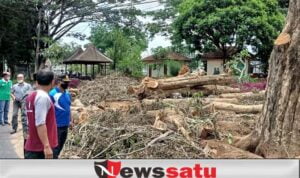 Wabup Irwan Dan Kepolisian Hentikan Pemotongan Kayu SonoKeling di Taman Magenda