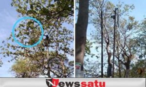 Warganet Keluhkan Lampu PJU Di Jalan Arak-arak Mati Hampir Setahun