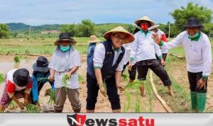 Bupati Pamekasan Luncurkan Program Handtractor On Call