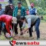 1000 Pohon Pisang Cavendish Ditanam, Bukti Komitmen Desa Tematik Samatan