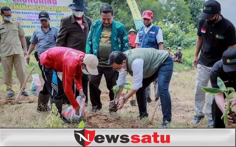 1000 Pohon Pisang Cavendish Ditanam, Bukti Komitmen Desa Tematik Samatan