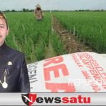 Dispertahortbun Sumenep Tingkatkan Pengawasan Distribusi Pupuk Bersubsidi