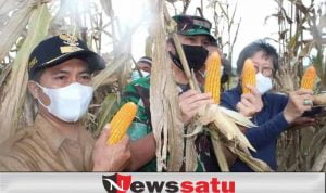 Kodim 0402 Dukung Pertumbuhan Pangan Kabupaten OKI