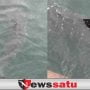 Munculnya Hiu di Perairan Pelabuhan Kota Probolinggo, Bikin Warga Kaget