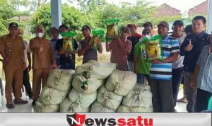 Pemkab OKI Bantu Benih Padi Lahan Terdampak Banjir di Lempuing Jaya