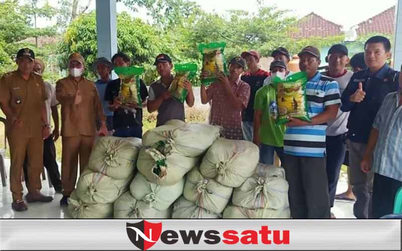 Pemkab OKI Bantu Benih Padi Lahan Terdampak Banjir di Lempuing Jaya