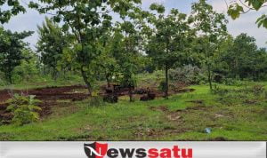 Perhutani Kerjasama Pengelolaan Lahan Hutan Dengan Masyarakat Sumenep