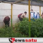 Resacita Kembali Hijaukan Green House, Kuatkan Ruang Edukasi dan Konservasi