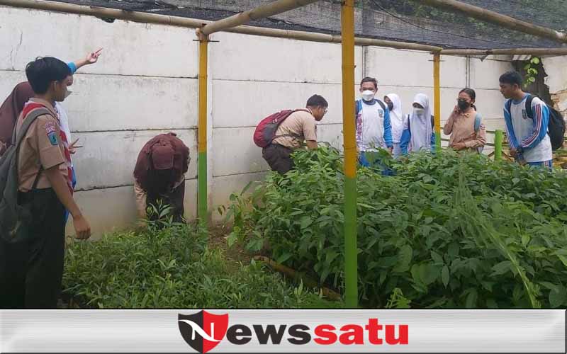 Resacita Kembali Hijaukan Green House, Kuatkan Ruang Edukasi dan Konservasi
