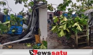Kali Kedua Truk Angkutan Batu Bara Timpa Rumah Warga Kebur