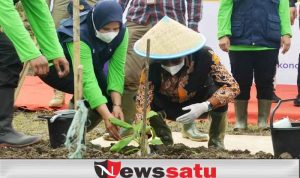 Pemkab Bondowoso Sambut Baik Pengembangan Pisang Cavendish