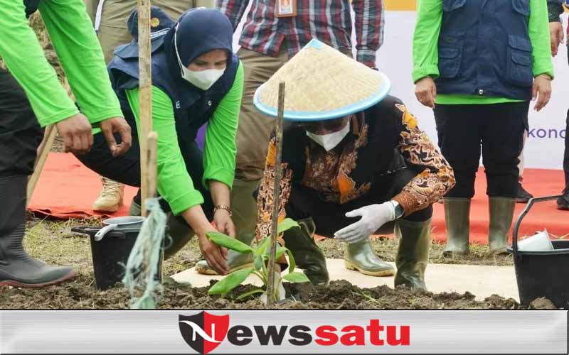 Pemkab Bondowoso Sambut Baik Pengembangan Pisang Cavendish