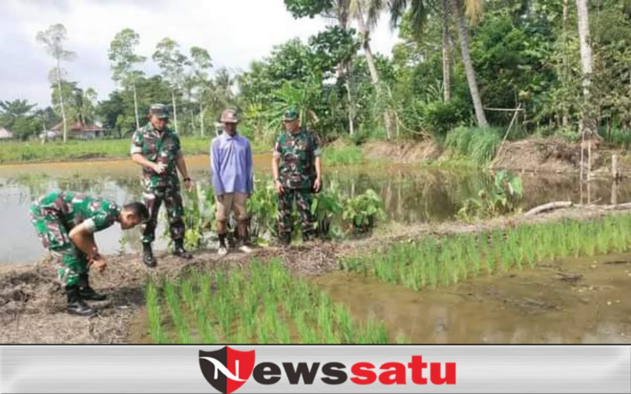 Wujudkan Ketahanan Pangan, Kodim 0402 OKI Buat Demplot Pertanian