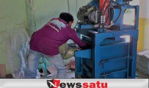 Daun Kelor Madura Kualitas Ekspor untuk Tiongkok
