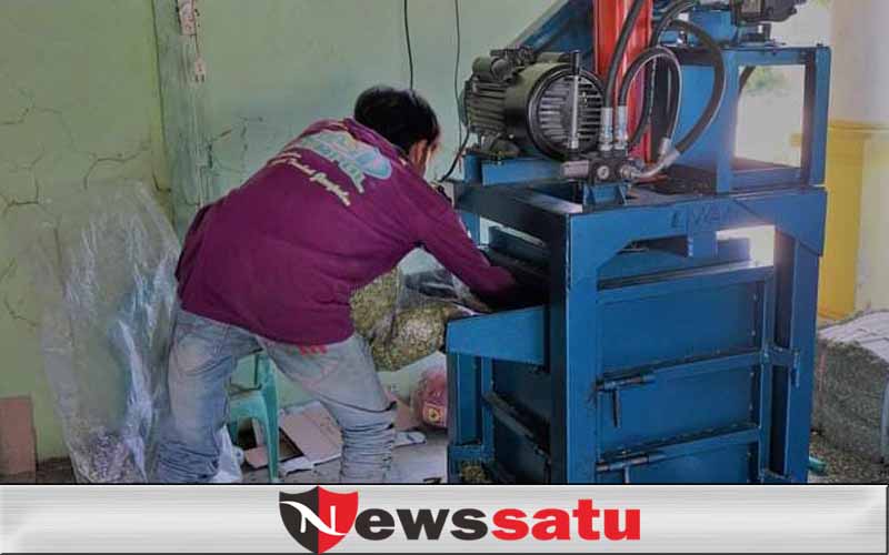 Daun Kelor Madura Kualitas Ekspor untuk Tiongkok