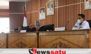 OKI Susun Dokumen RPPEG, Lindungi 1,03 Juta Hektar Gambut