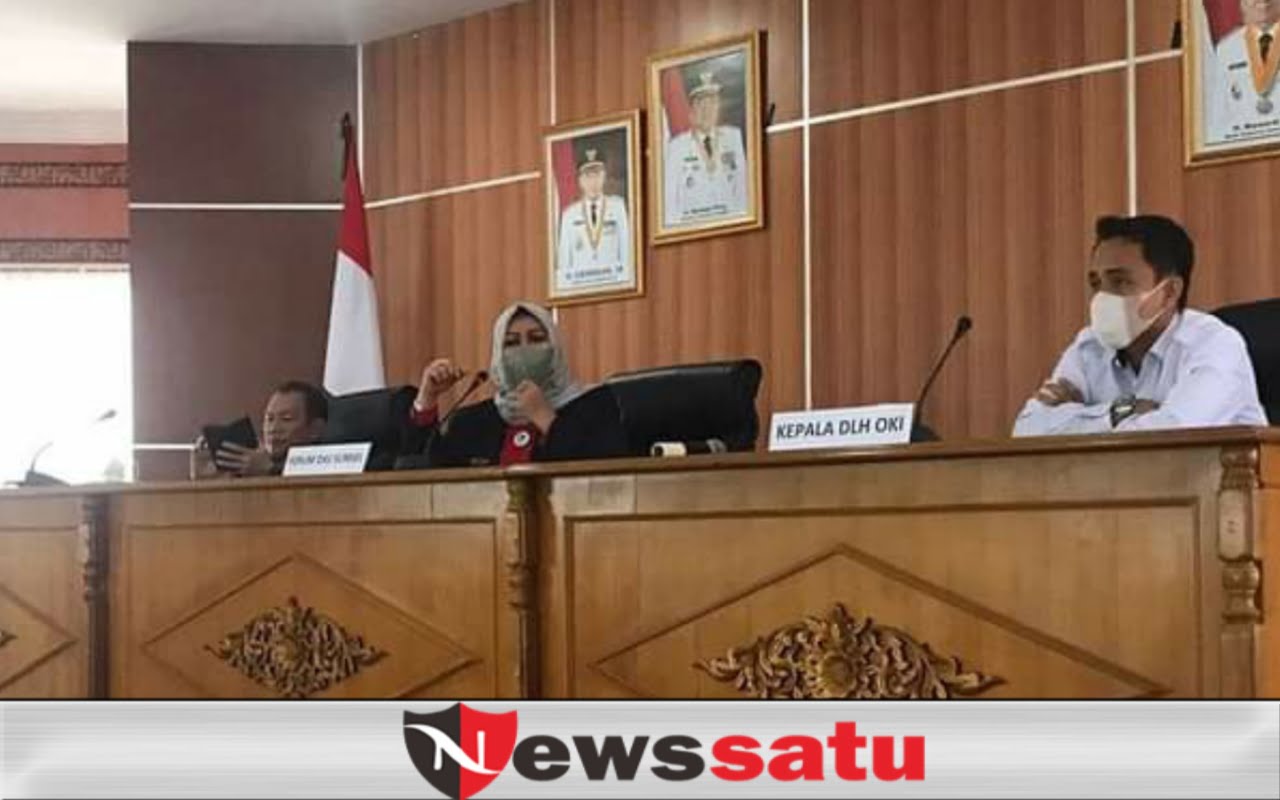 OKI Susun Dokumen RPPEG, Lindungi 1,03 Juta Hektar Gambut