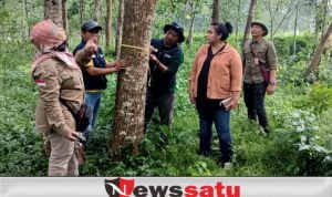 PKSM Arek Lancor Akan Kelola Sumber Benih Bersertifikat